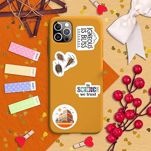 Vista 45 de BulbaCraft 100 calcomanías de baile para botella de agua, calcomanías de baile para álbumes de recortes, regalos para bailarines, regalos