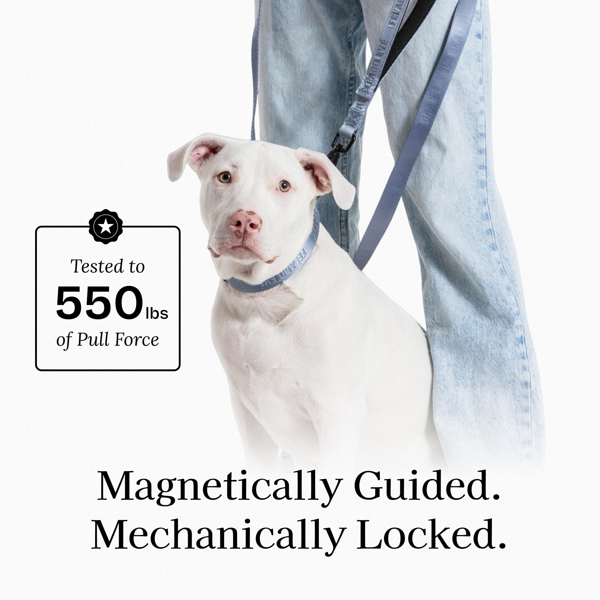Fei & Eve MagEase - Collare per cani 2026, con fibbie magnetiche brevettate, sicuro per la pelliccia, nylon 210D di alta qualità, a prova di fuga, 204 kg, vestibilità regolabile, taglia L, blu scuro