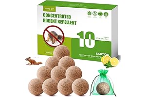 MAGIC CAT Squirrel Mace Squirrel Repellent Spray