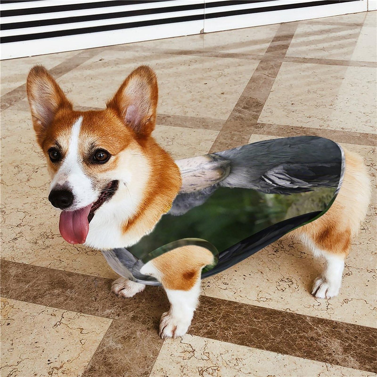 木と鳥の犬の服