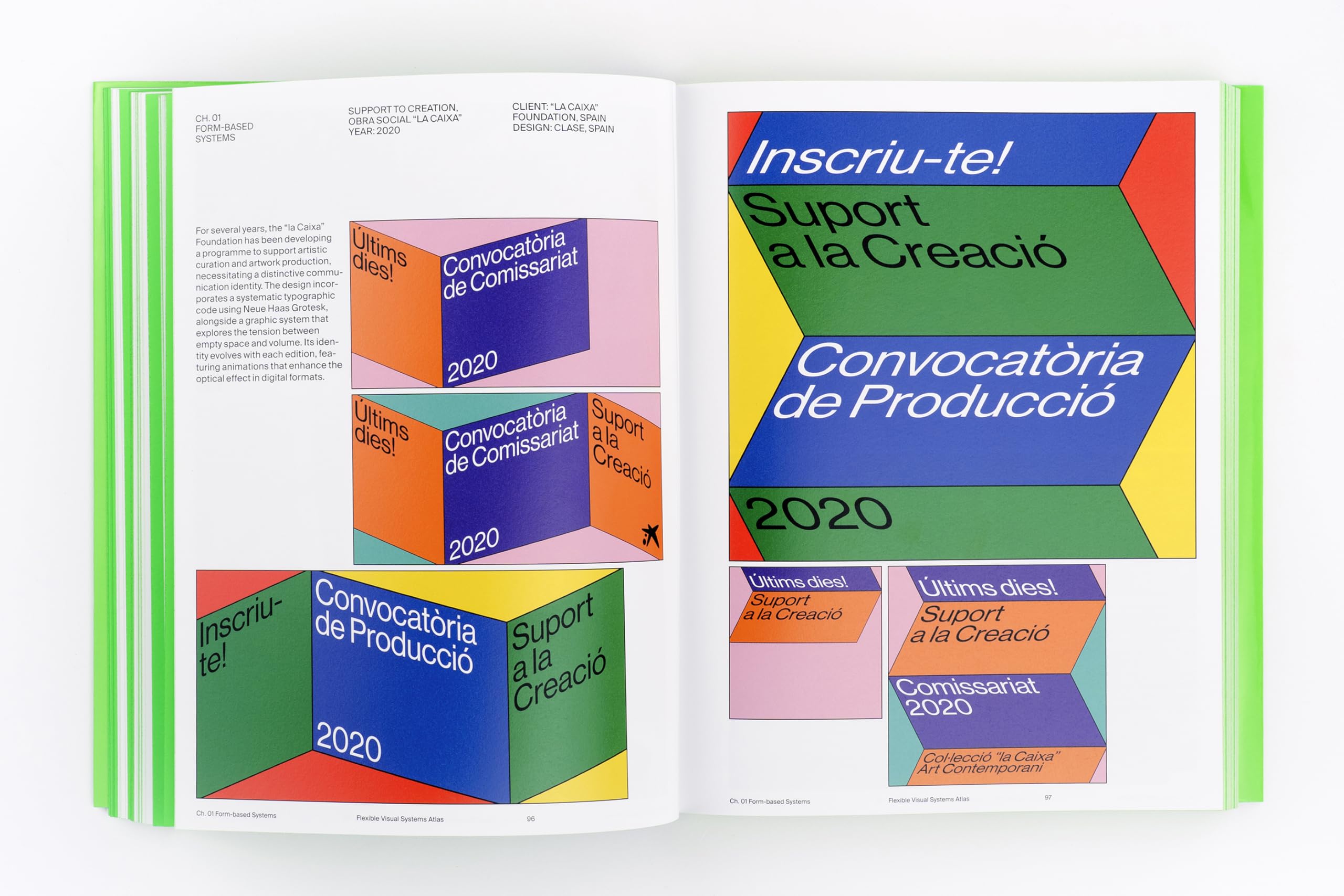 Flexible Visual Systems: The Fvs Atlas