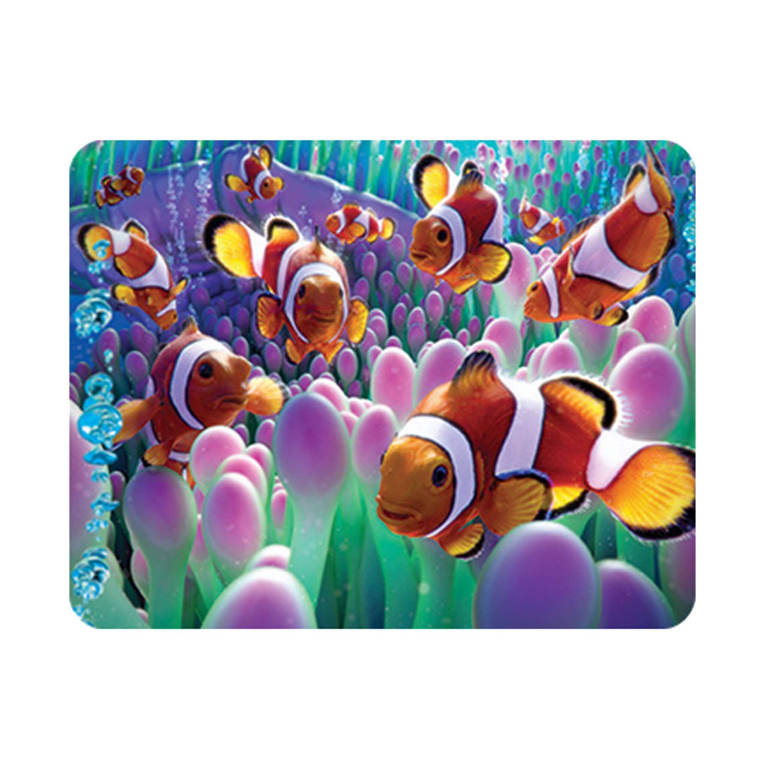 Deluxebase Multicolor 3D Livelife Magnet - Clown Fish From Lenticular Ocean Fridge Magnet. Decorative 3D Fish Flat Magnets. Cute Small Magnets For Fridge, Dishwasher And Whiteboard.
