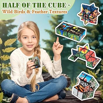 Euclidean Cube Fidget Toys for Kids 2 in 1 Fidget Cube Star Cube Puzzle Toy
