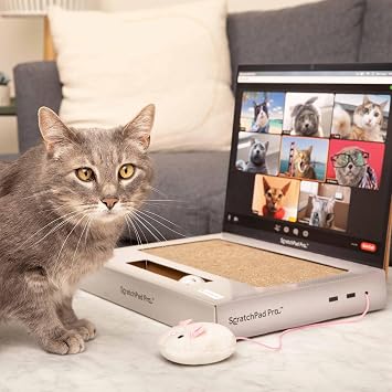 ScratchPad Pro Cardboard Laptop Cat Scratcher by Relatable