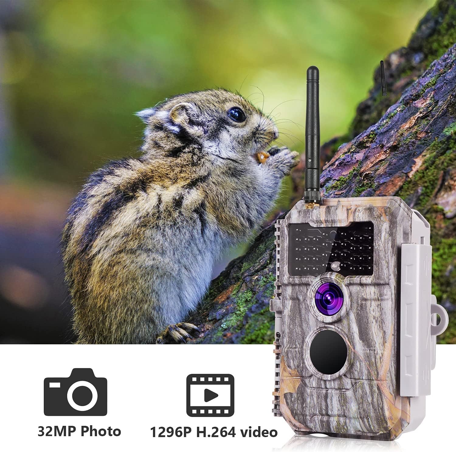 BlazeVideo Wildkamera WiFi 64MP 2304x1296 H.264 unsichtbare Nachtsicht Bewegungsmelder