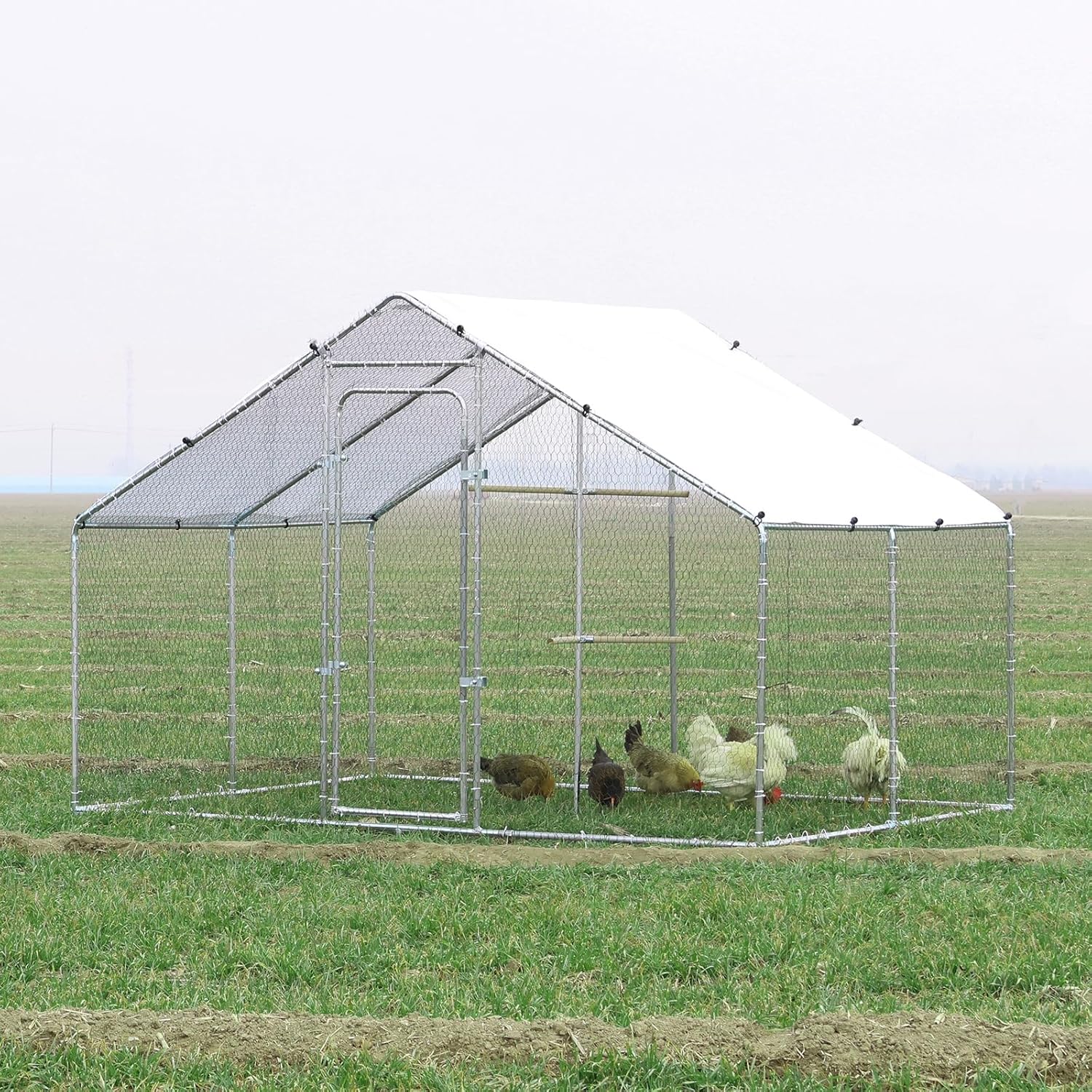 walnest 6.56x9.84x6.56 FT Spire Roof Chicken Coop assembled in a field with chickens inside.