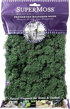 SuperMoss 21703 Reindeer Moss Preserved, Forest Green, 2oz