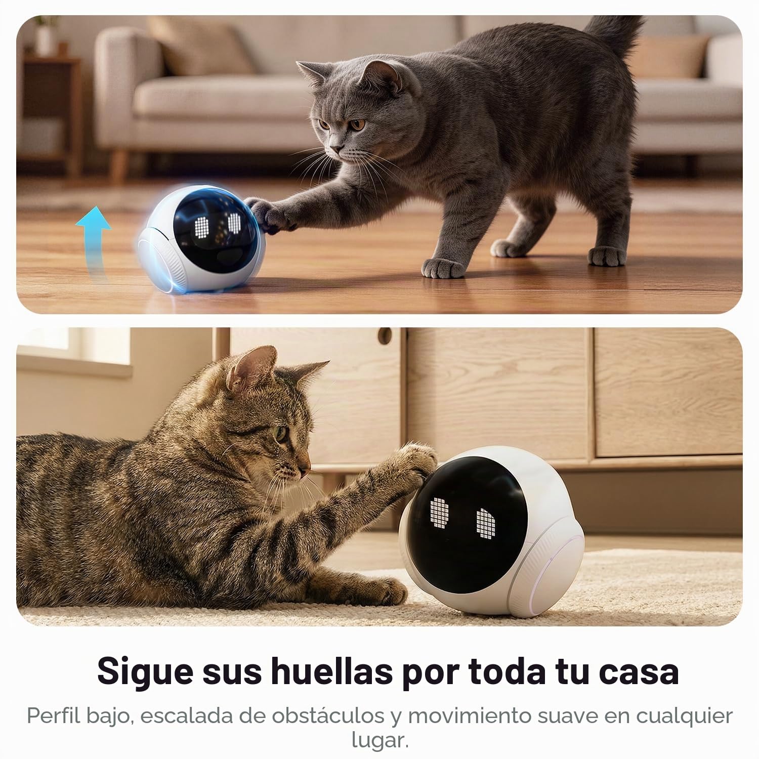 Robot de cámara móvil inteligente para mascotas para el hogar interior, monitoreo móvil 1080P de perros y gatos, conversación bidireccional, visión nocturna, funciona con batería con control