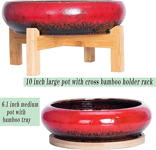 Miniatura 14 de ARTKETTY Macetas para suculentas con drenaje, maceta grande para suculentas con soporte y platillo, macetas poco profundas para bonsái de cerámica