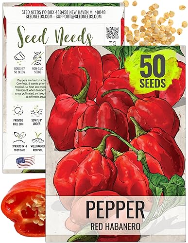 Miniatura 16 de Seed Needs Semillas de pimiento habanero para plantar habaneros de limón caliente, reliquia sin OMG y chiles chinense sin tratar para plantar un