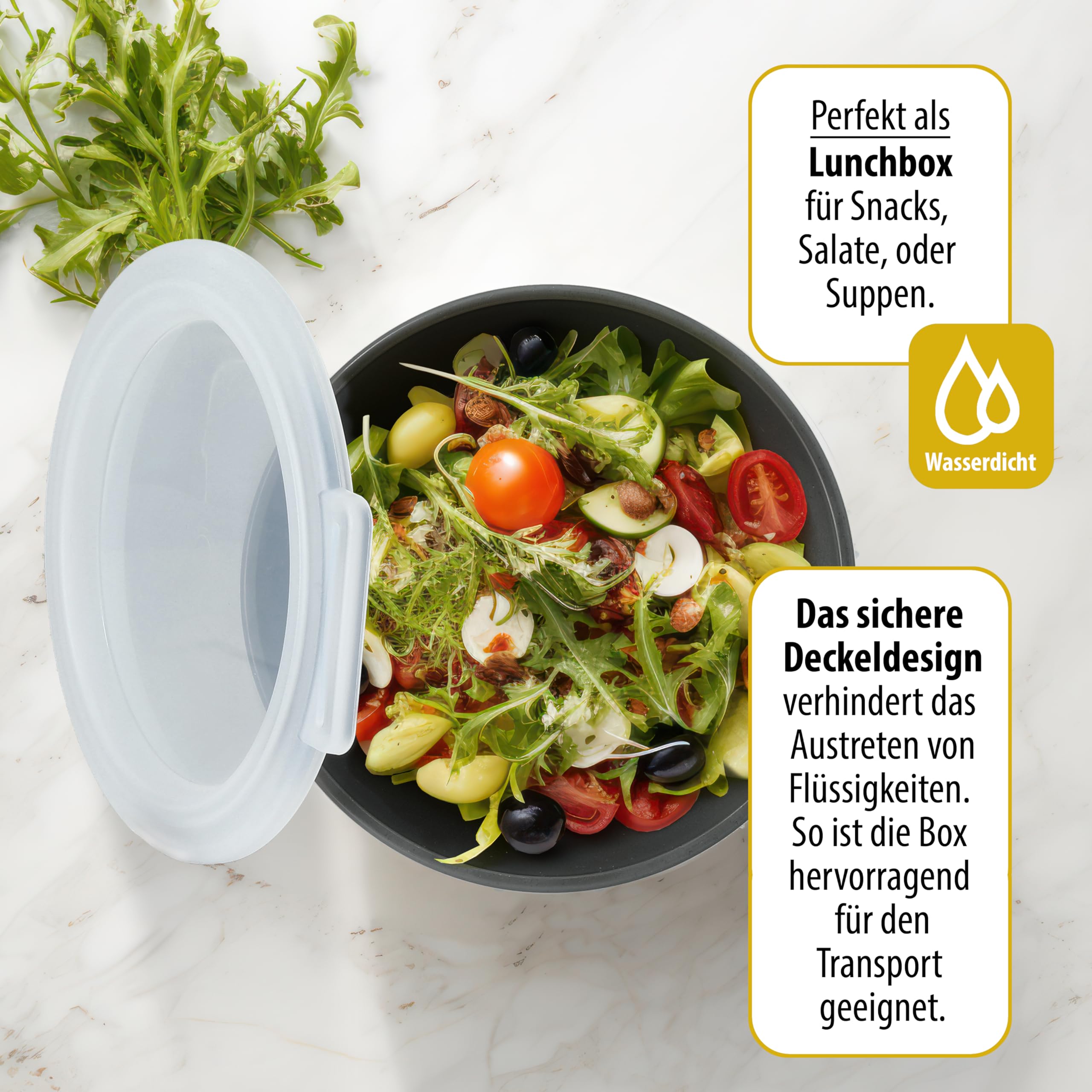 Pizzaballenbox 6er-Set – Teigboxen aus recycelbarem Bio-Kunststoff mit Deckel – stapelbare Gärboxen für Pizzateig, Sauerteig und Zutaten – Made in Germany