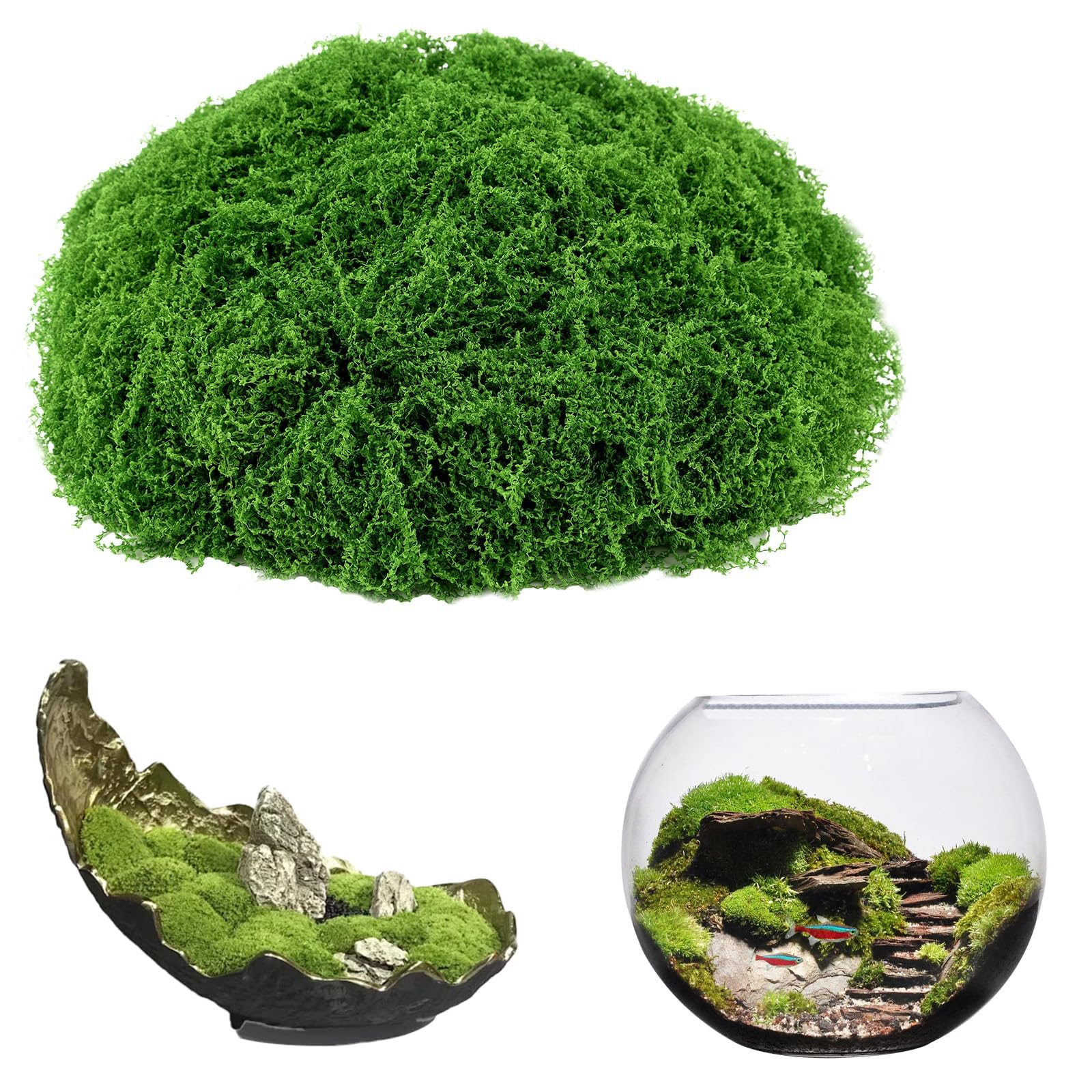 GJS Muschio stabilizzato - Vero Muschio Decorativo Naturale Vivo conservato (Finto lichene