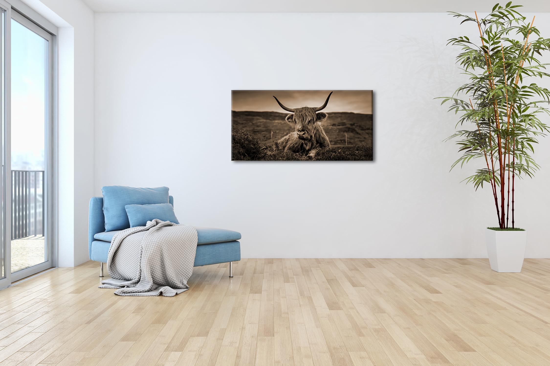 pelziges Rind auf schottischer Landschaft Panorama 80x40 cm Effekt: Sepia als Leinwandbild, Motiv fertig gerahmt auf Echtholzrahmen, Hochwertiger Digitaldruck mit Rahmen