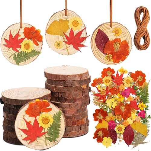 20 Set DIY Wooden Crafts with Dried Pressed Flowers Leaves