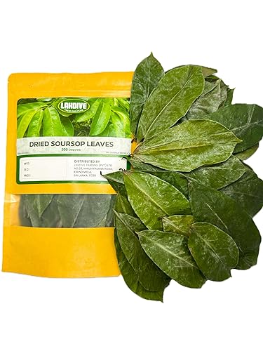 Lakdive Más de 200 hojas de graviola de guanábana deshidratadas, 100% naturales, hojas enteras, hoja guanábana, té de hierbas de hojas sueltas de