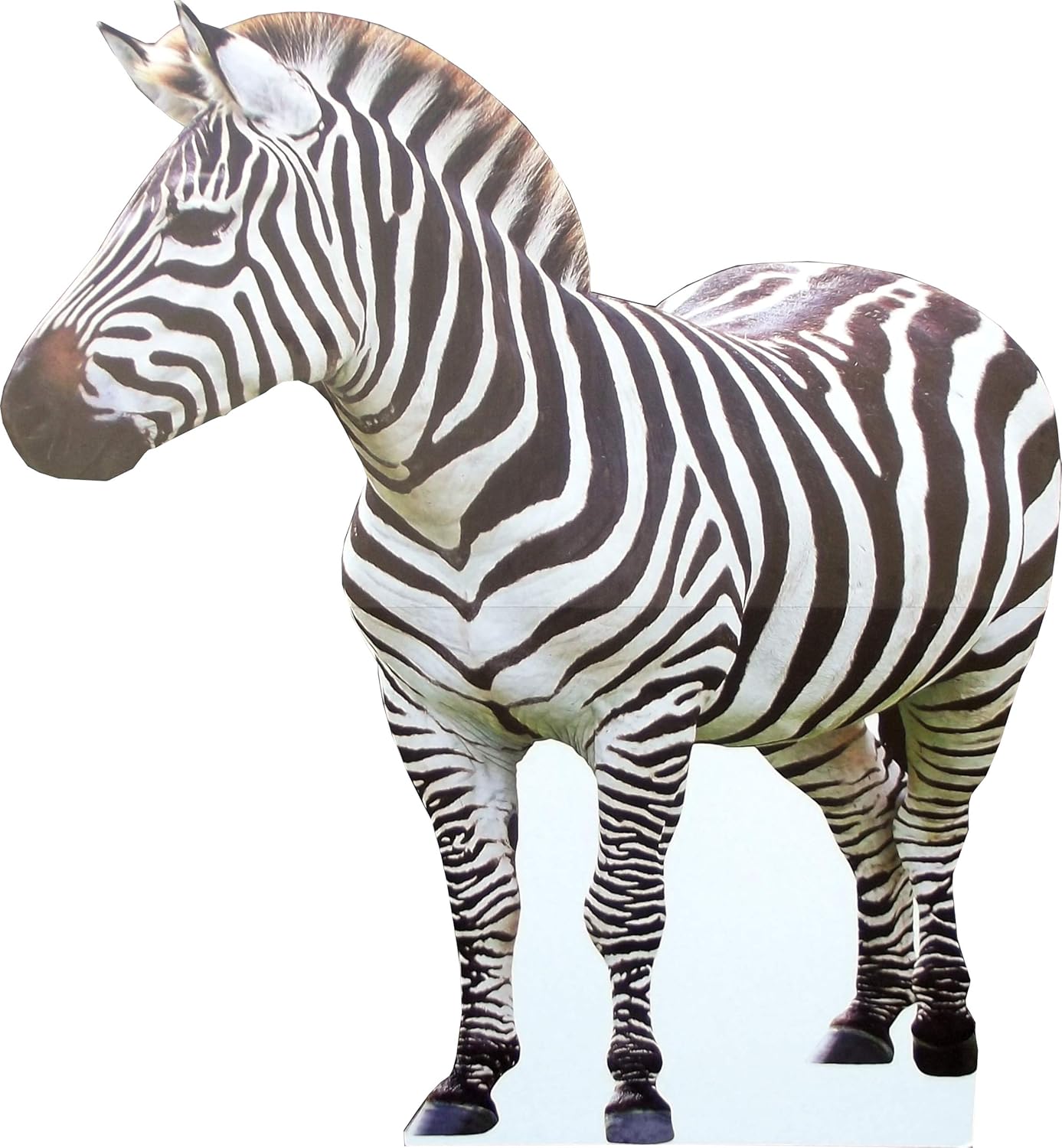 aahs!! Engraving Animal Life Size Cardboard Cutout Stand Up | Standee Picture Poster Photo Print (Zebra)