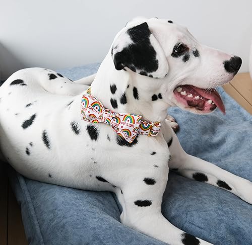 Miniatura 4 de Unique style paws Collar de perro arcoíris para el Día del Orgullo, Love is Love Best para niños y niñas pequeños, medianos y grandes