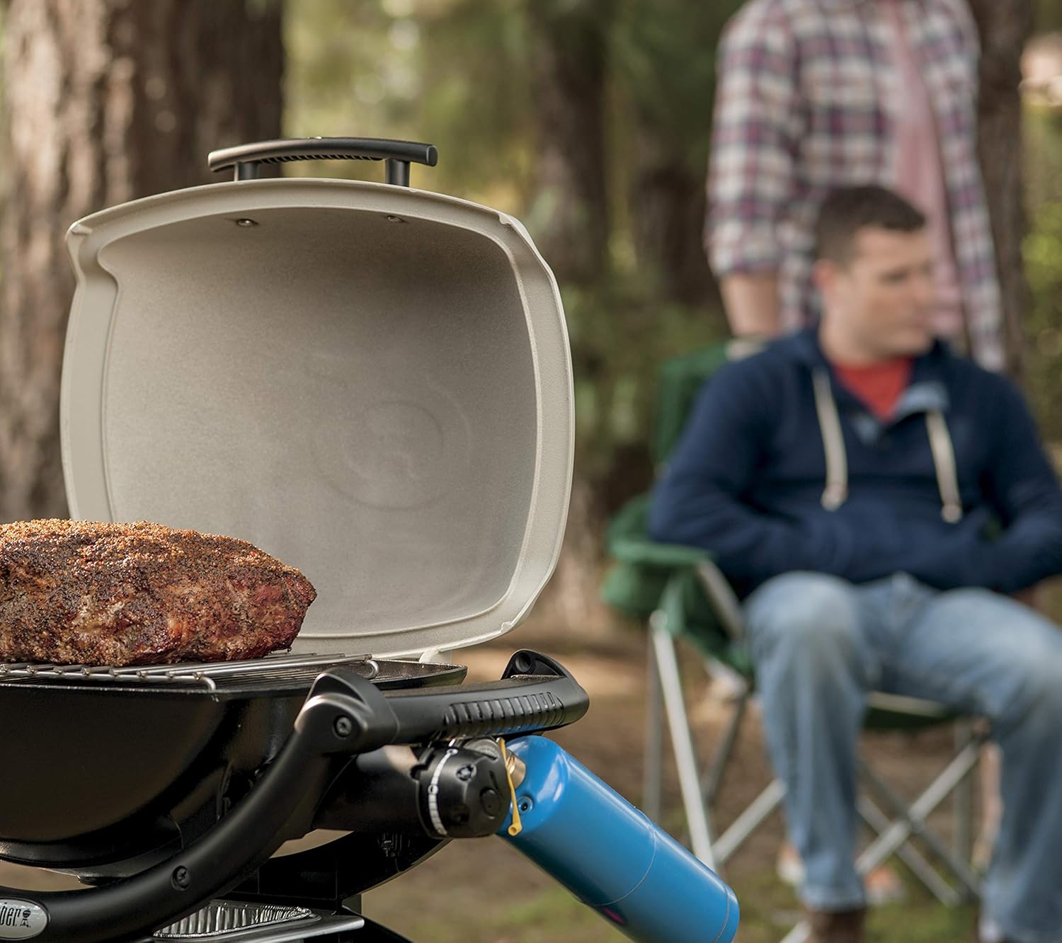 Weber 6563 Original Q Roast Rack for Grilling, Small