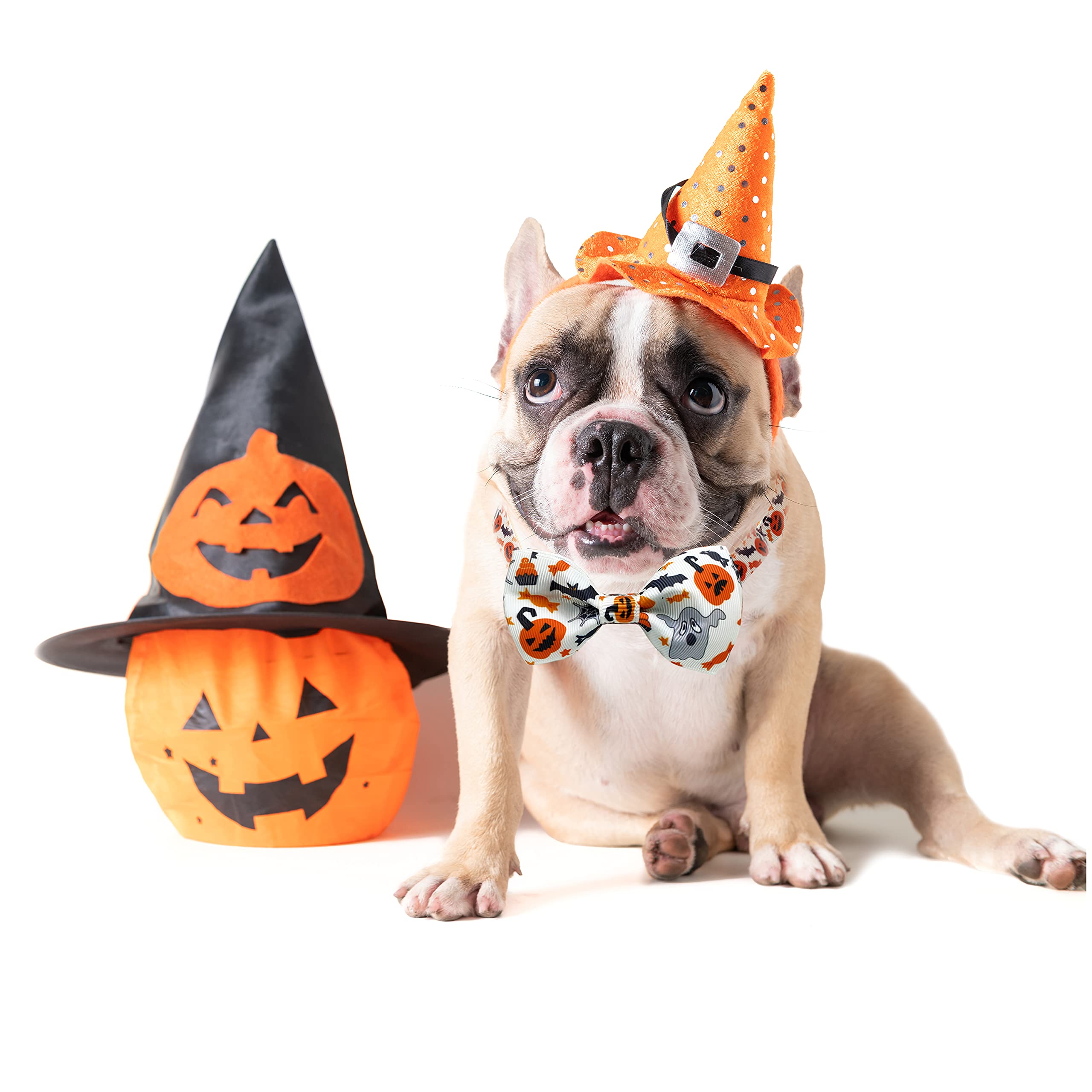 ADOGGYGO Halloween-Halsband Mit Fliege & Glöckchen – Verstellbar Für Kleine Bis Große Hunde (S, M, L)