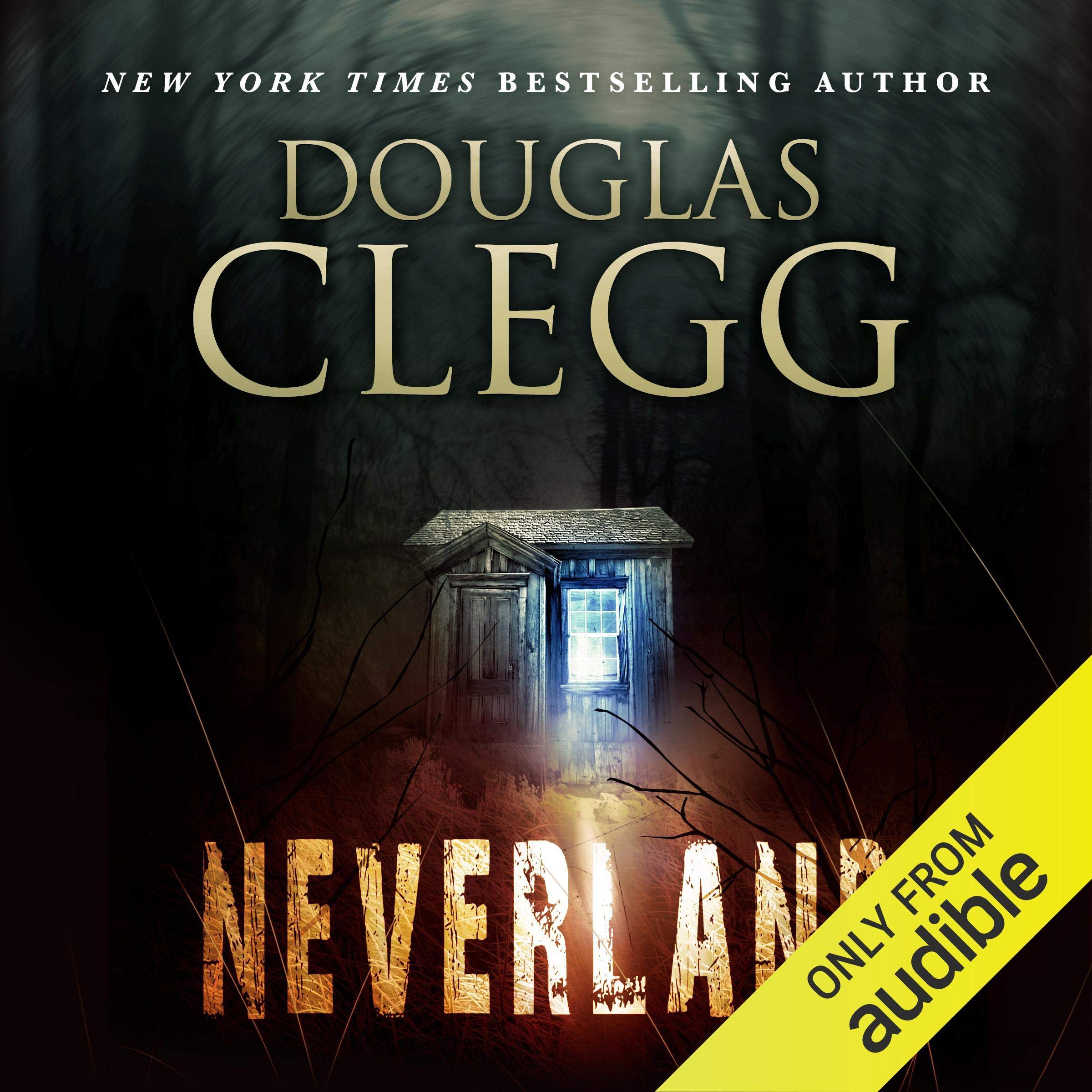 Cover art for Neverland