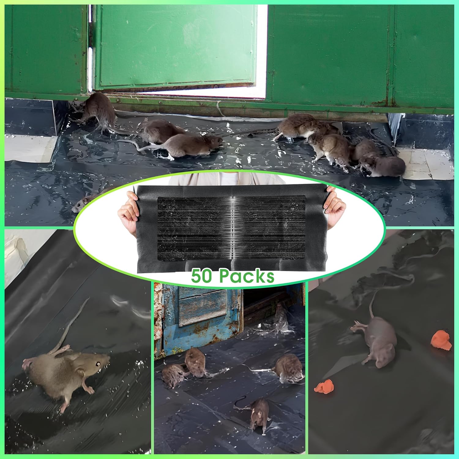 Qualirey 50 Pack 24 x 11'' Mouse Glue Traps, Anti Slip Rat Snake Rodent Sticky Pads Pet Friendly, Peanut Scented Mice Glue Board That Work for Home Indoor Outdoor Restaurant Kitchen Hotel Office