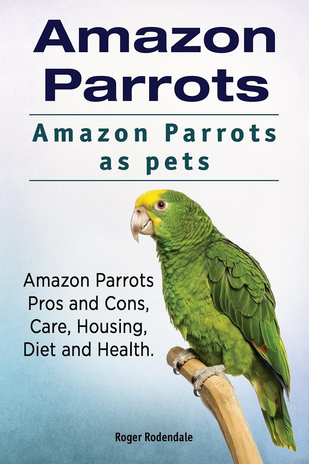 Amazon Parrots as pets. Amazon Parrot. Amazon Parrots Pros and Cons