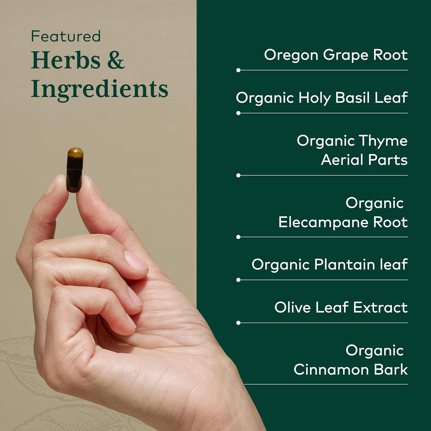 GAIA HERBS PRO Intestinal Fungal Balance - Digestion Support Supplement* - Cleanse Support Supplement* with Holy Basil Leaf, Cinnamon Bark & Oregon Grape Root - 60 Liquid Phyto-Caps (60 Servings)