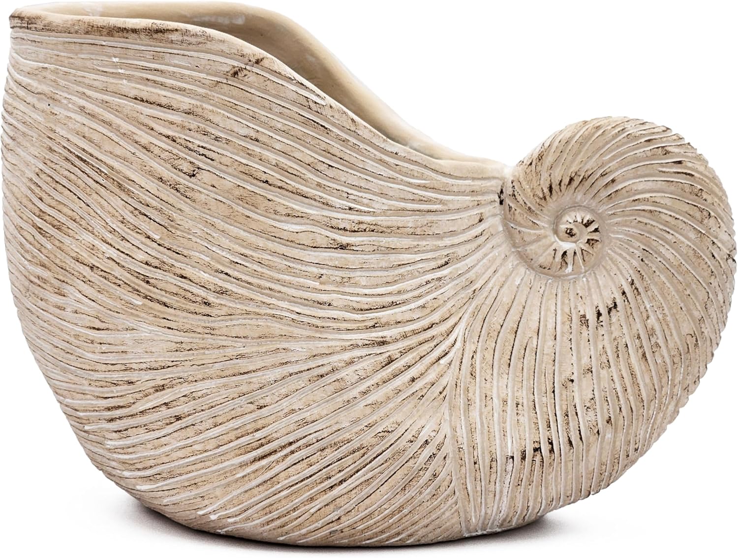 Nautilus Shell Planter with Textured Beige Finish, Coastal-Themed Sand and Cement Planter, Perfect for Succulents, Cacti, Herbs, or Home Decor, 11.5” x 6.5” x 7.5”