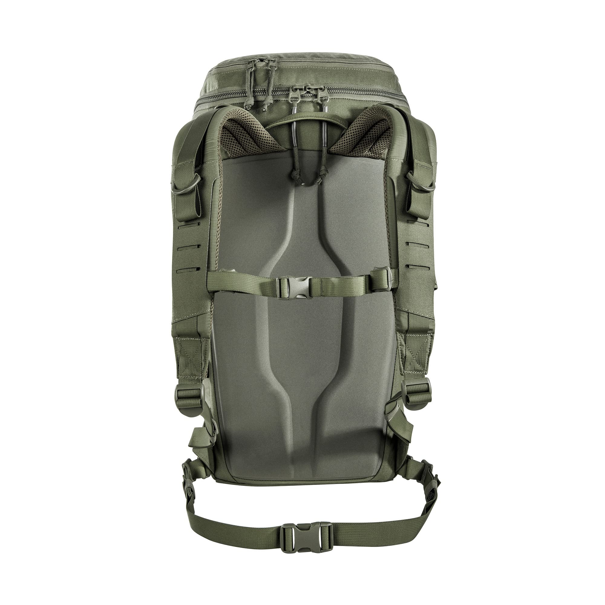 Tasmanian Tiger TT Companion 30 Daypack TT plecak męski, pojemność 30 l, z przegródką na organizer i rzepem Molle, oliwkowy, 30 l, Plecak