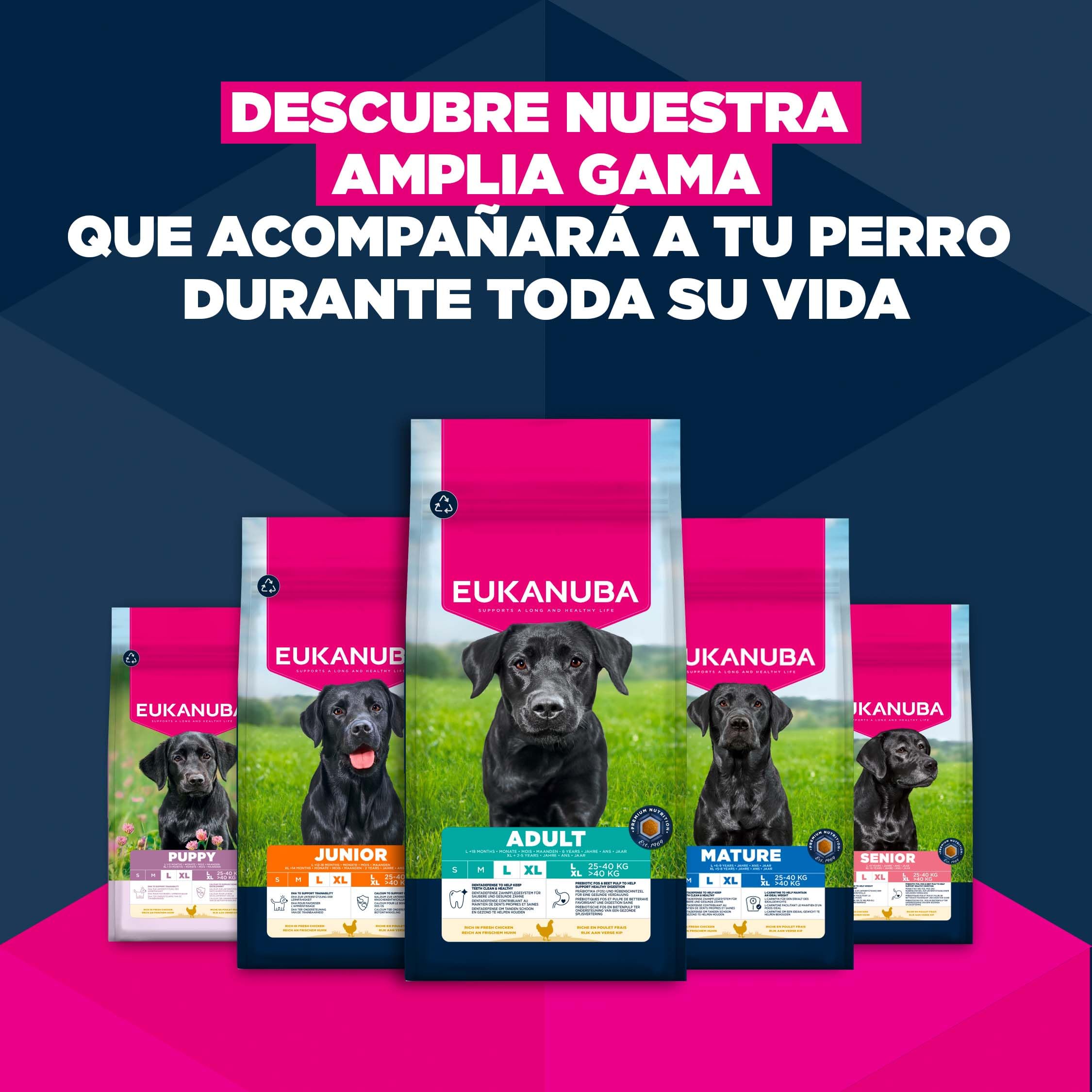 Eukanuba, alimento seco para Perros con Pollo Fresco para Razas Grandes - Alimento seco Premium para Perros Adultos, 15 kg