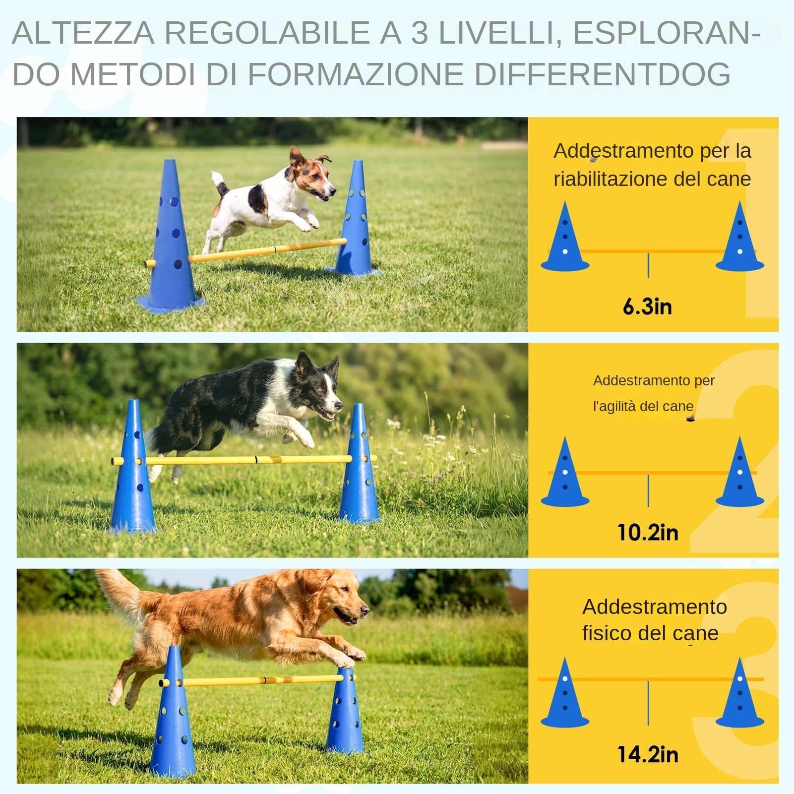 Hunde-Hindernisparcours - Höhenverstellbares Agility Set Für Den Garten | Höhenverstellbares Agility-Training - Robust & langlebig - Ideal für alle Hunderassen - Einfacher Transport - Outdoor & Indoo