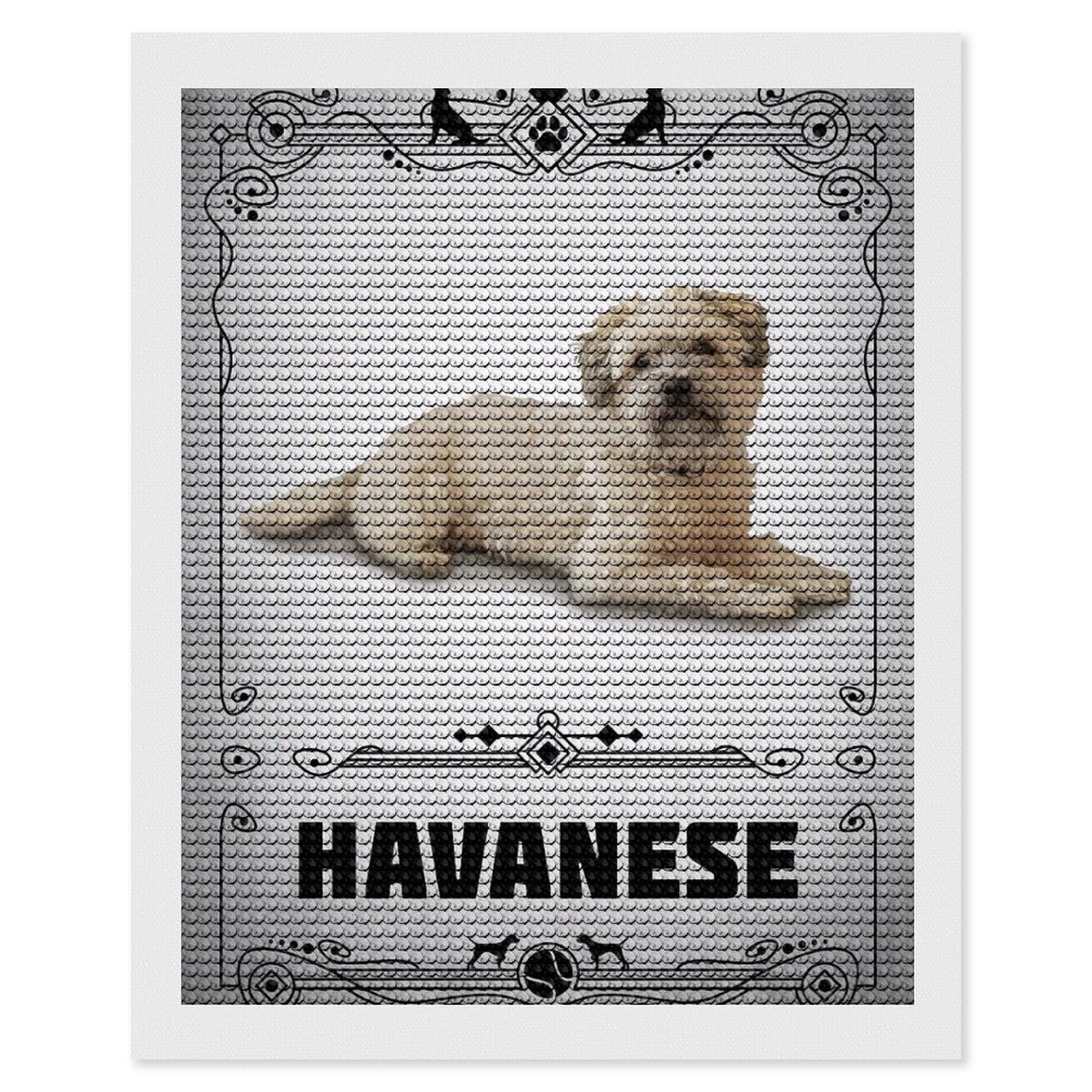 Junmoney Havanese Diamond Painting Canvas Set 16"x20", for Women, Pleasing Wall Art Project, Aesthetic Room Decor, Gift Idea