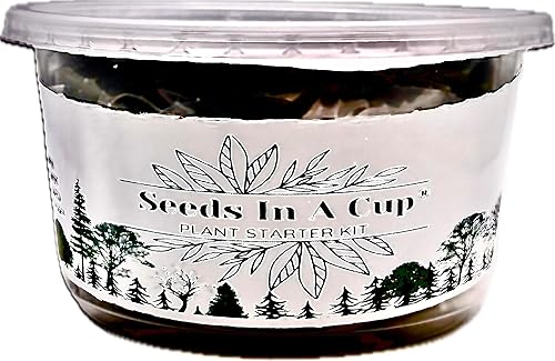 Miniatura 10 de Semillas en una taza - Kit de cultivo de plantas (remolacha)