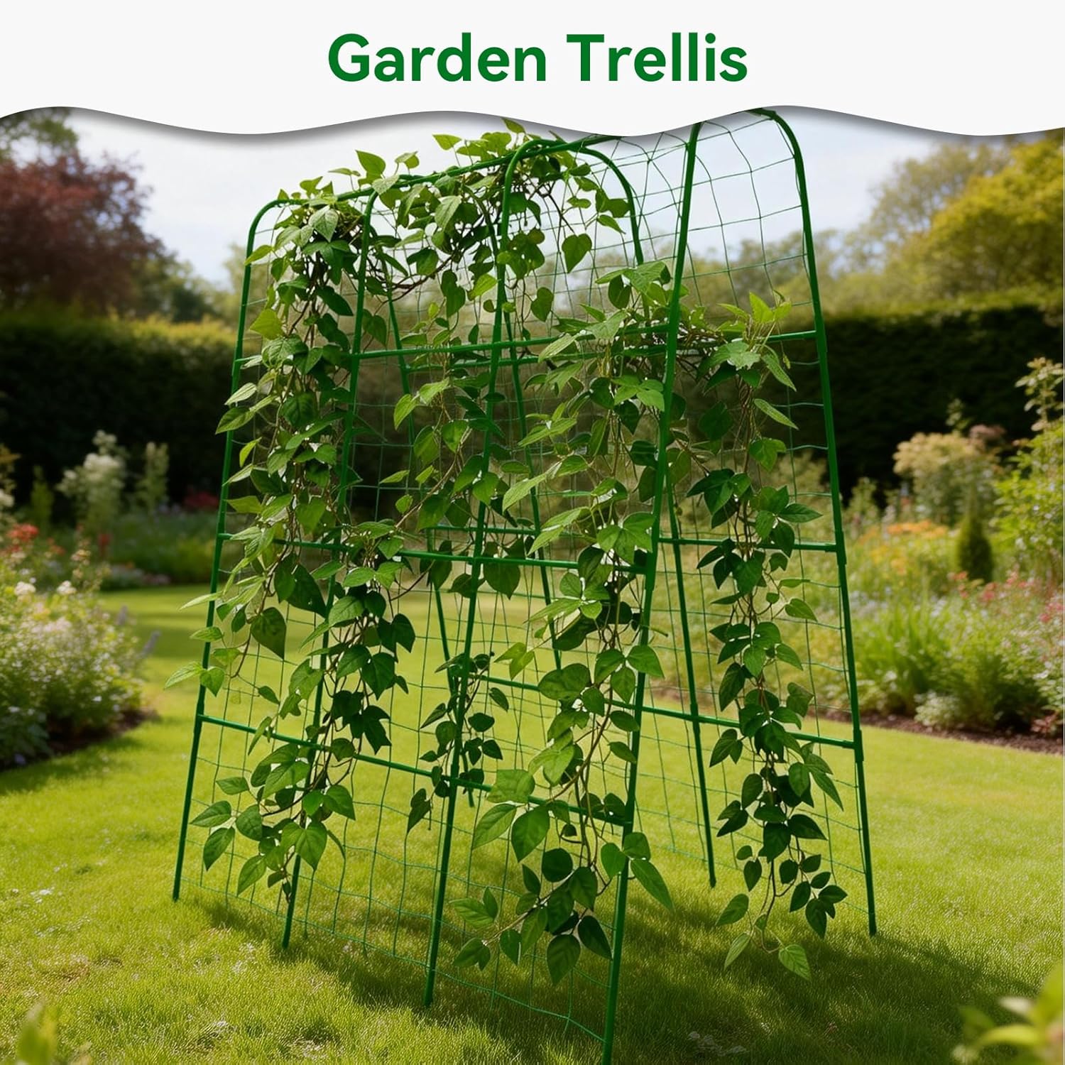 Cucumber Trellis - 62.4"*50" Cucumber Trellis for Raised Bed with Plastic-Coated Steel Pipe, U-Shape Garden Trellis for Climbing Plants, Garden Trellis for Cucumbers, Beans(Green)