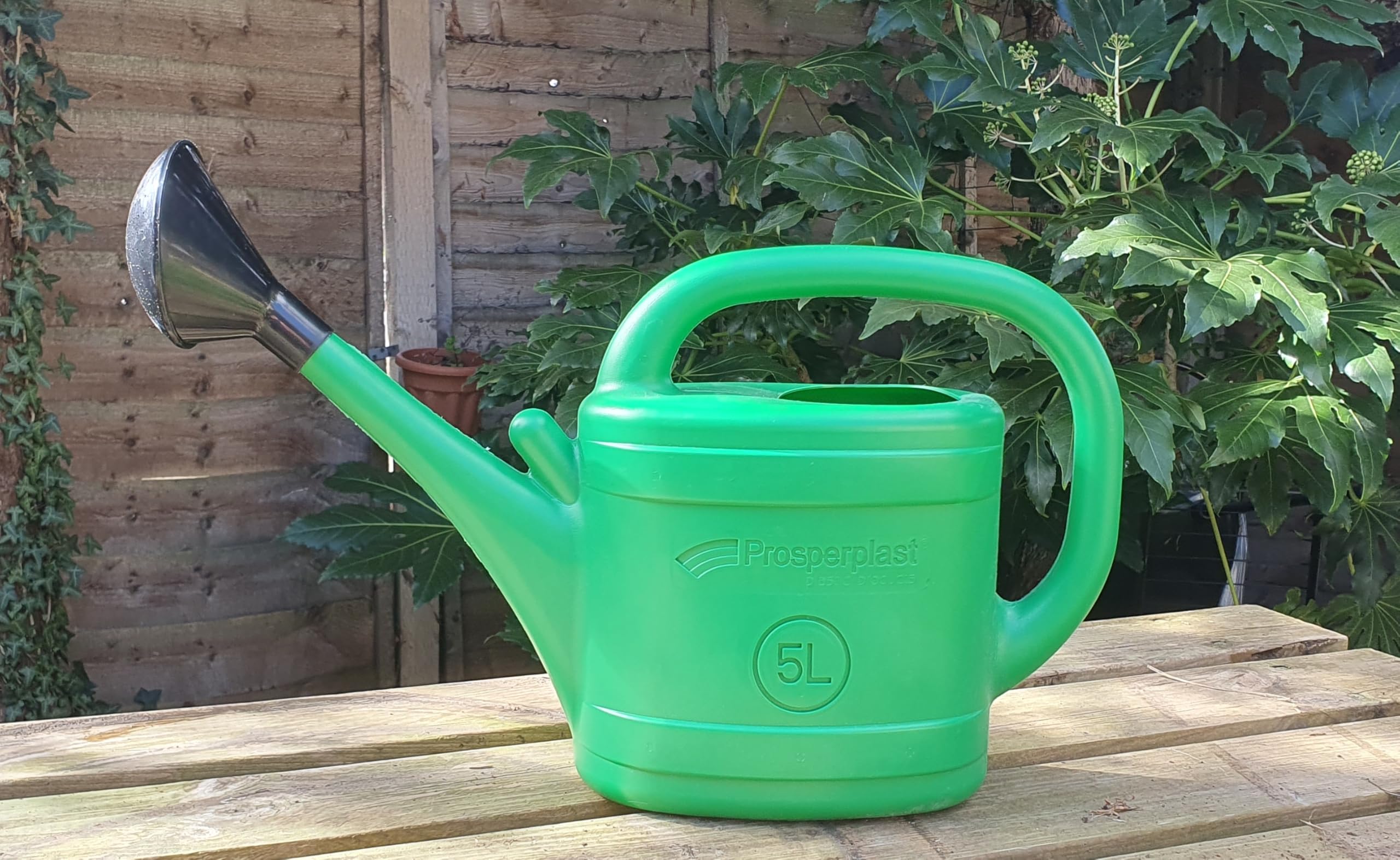 5l Lightweight Plastic Watering Can with Removable Rose Indoor/Outdoor Garden Plants Flowers Grass Care (5 litre)