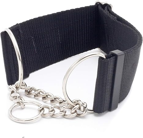 dog collar half chain