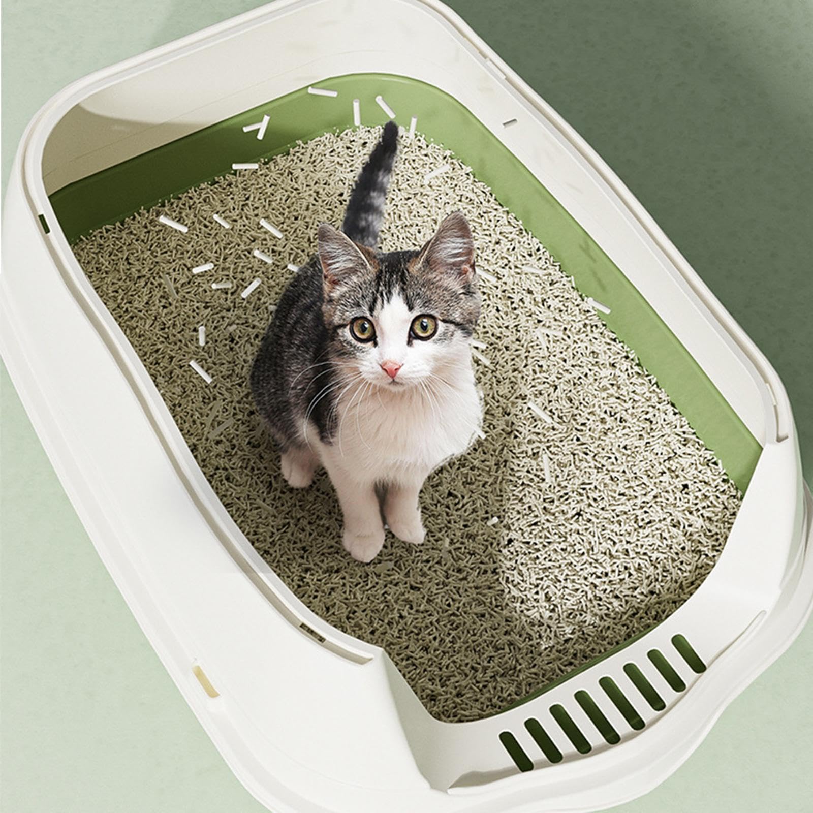 Arenero Grande para Gatos con Bandeja Cerrada, Tapa Y Techo Desmontable para Facilitar La Limpieza. Material Ligero, Ideal para La Cría de Gatos, Verde