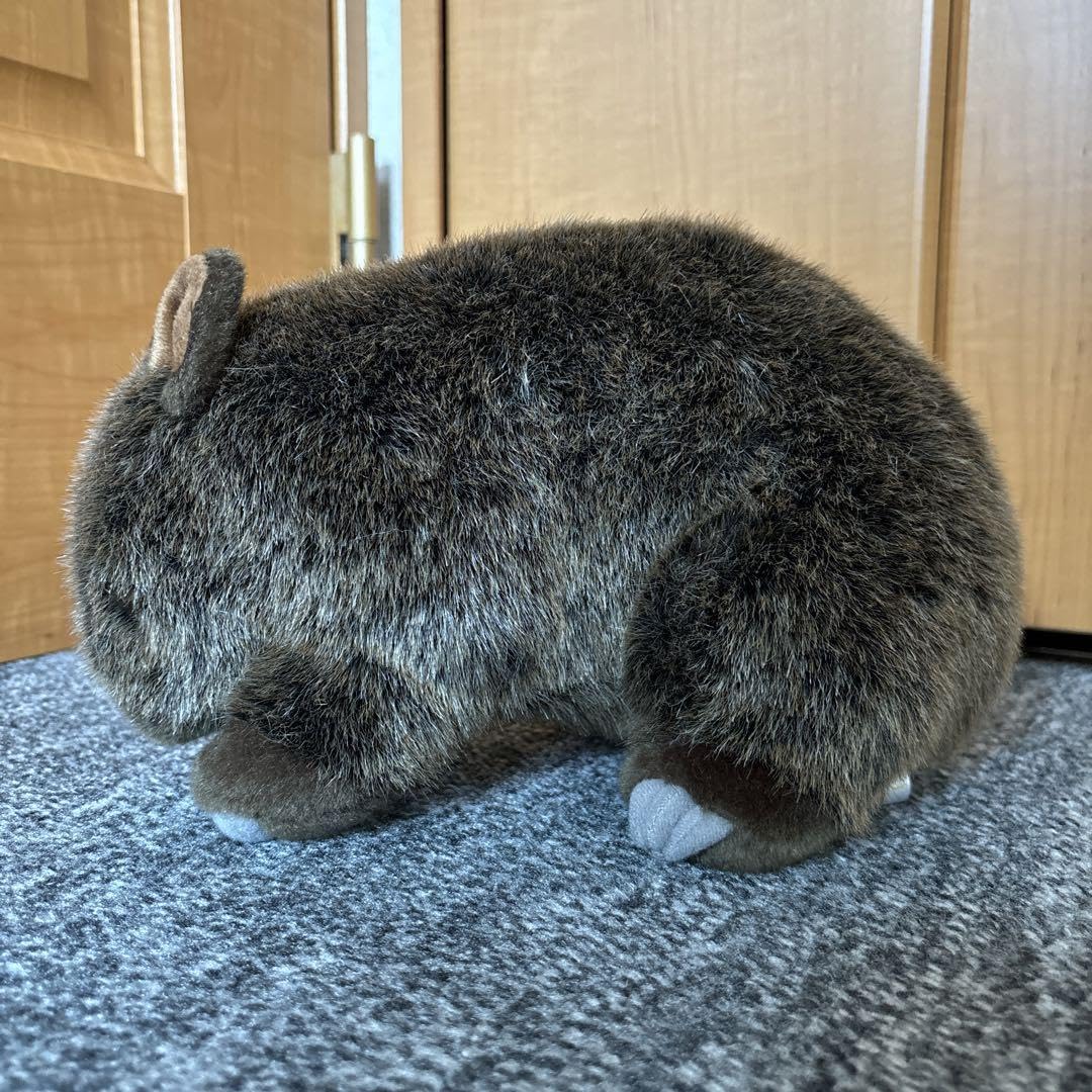 Amazon.co.jp: 10C+1ぬいぐるみ ウォンバット : おもちゃ