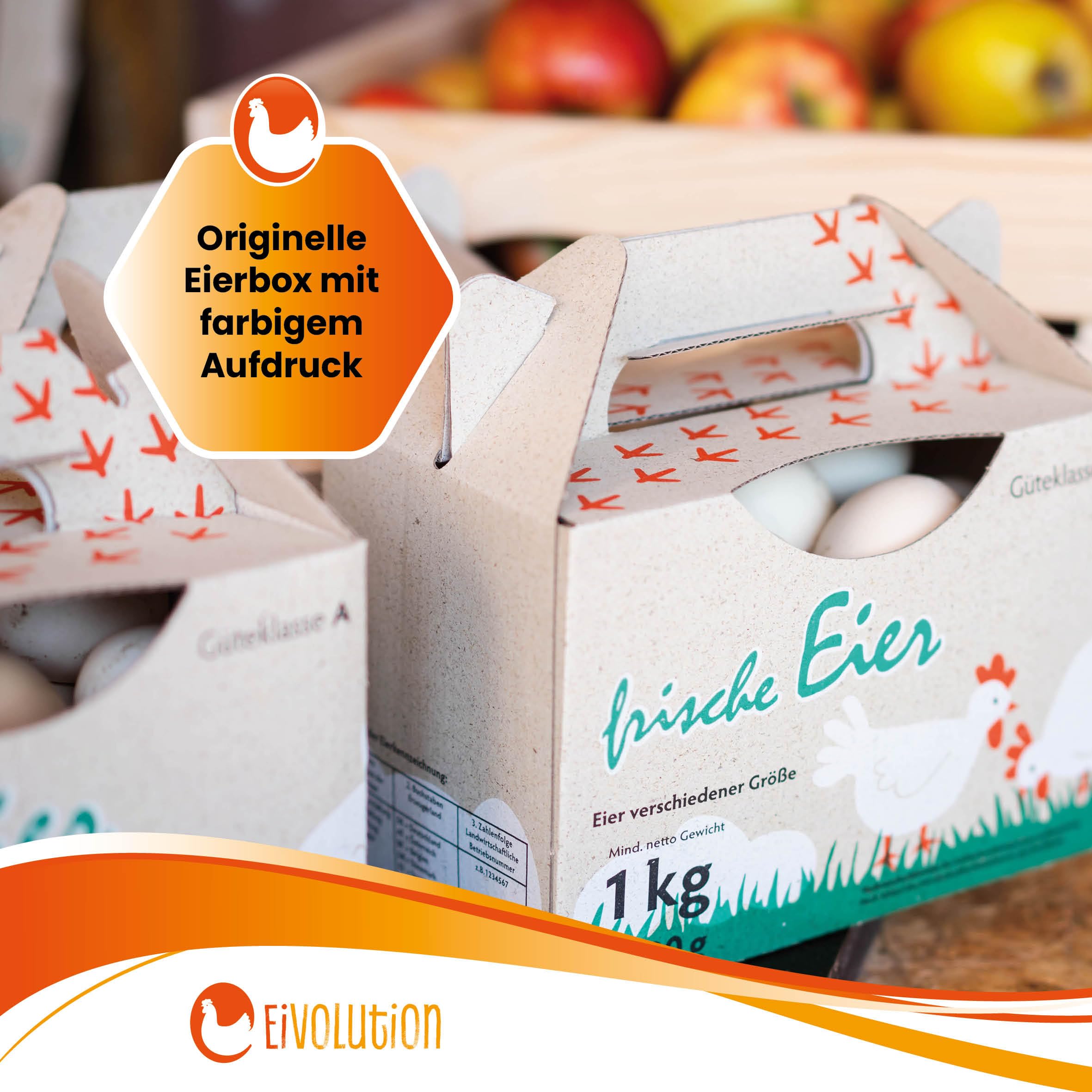 Eivolution Eierbox Für 25 Eier – 30 Stück – Wellpappe Mit Griff, Für Größen S/M/L – Frisch & Bunt Bedruckt