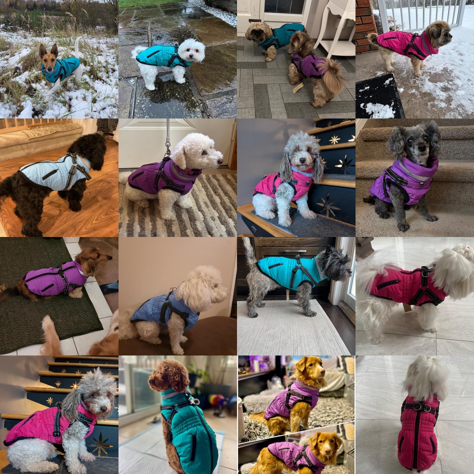 Savlot Hundemantel Wasserdicht - Reflektierende Hundejacke mit Reißverschluss Hundewinterweste mit Geschirr