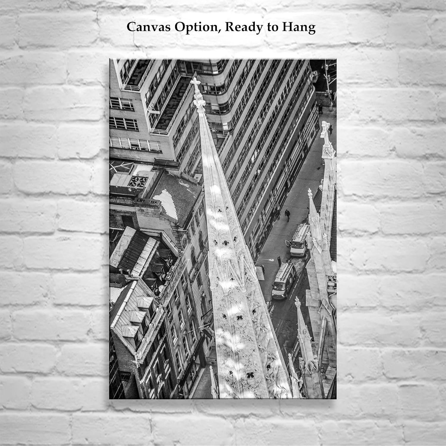Saint Patricks Cathedral Photograph in Black and White