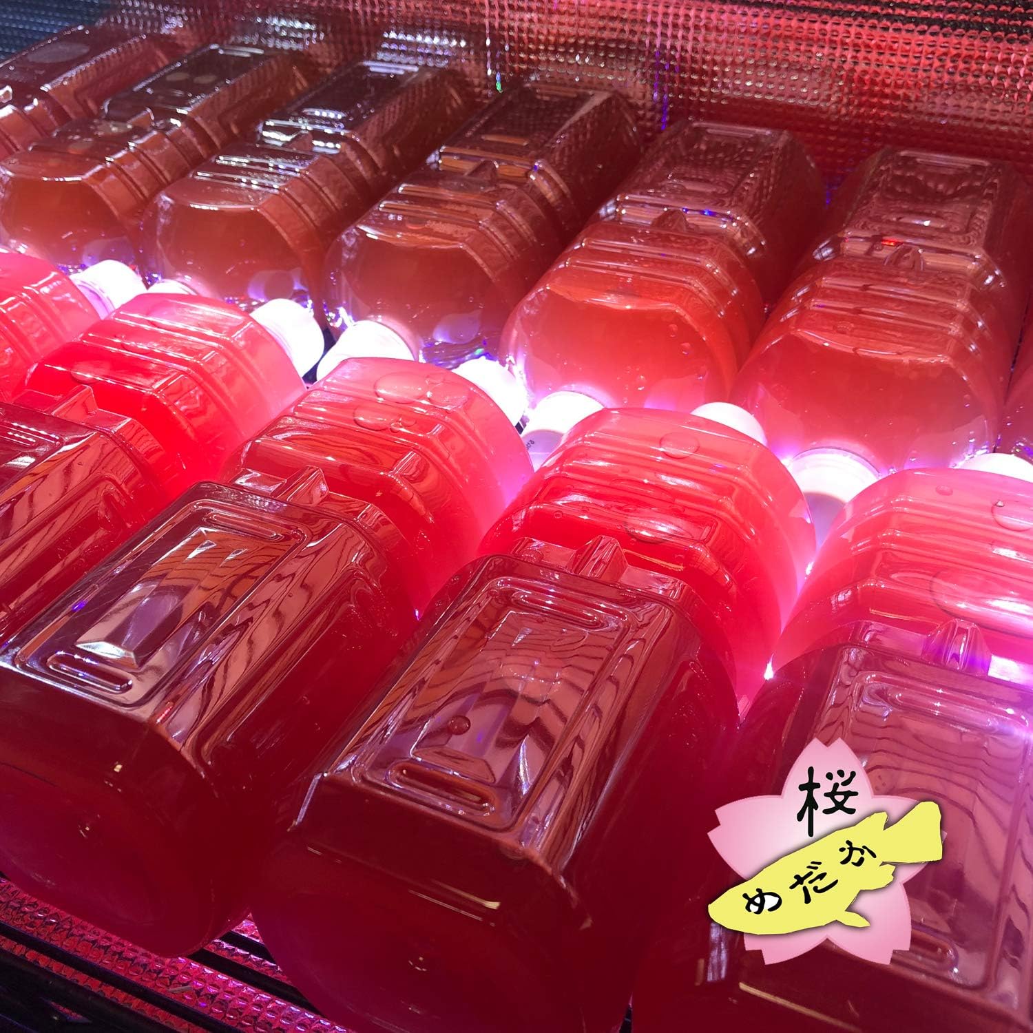 Amazon Co Jp Psbの培養ができる 翠水 ふやしてpsb 0ml Diy 工具 ガーデン