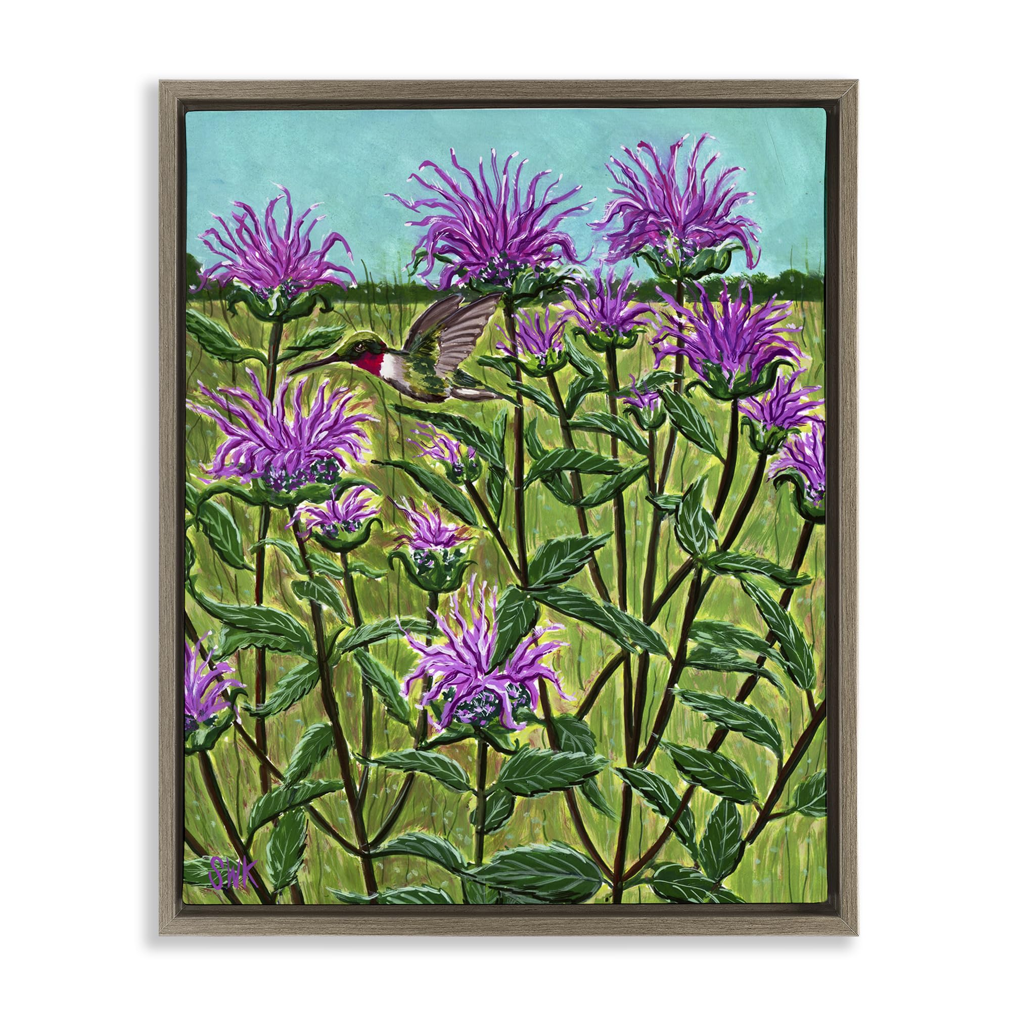 'Ruby Throated Hummingbird & Beebalm'| Floating Frame Canvas Art
