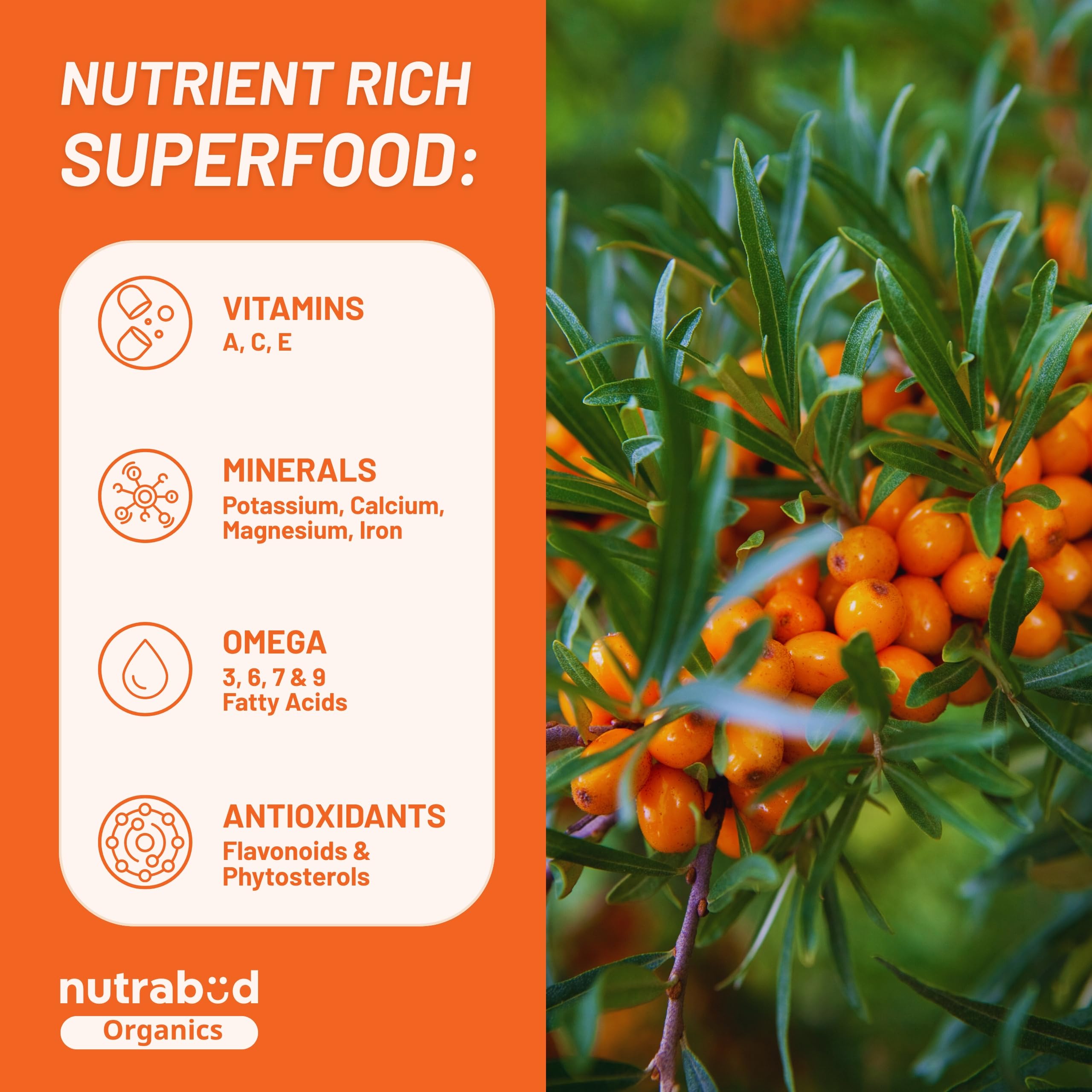 Nutrabud Organics Himalayan Sea Buckthorn Berry Juice - 500 ml - Natural Source of Vitamin C, Omega 3 6 7 9, Antioxidants For Immunity, Skin Glow & Gut Health - 50 Glasses (500ml (Pack of 1)) 1