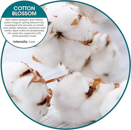 Miniatura 5 de Fresh Products Clip ecológico para tazón, ambientador, ambientador de inodoro, ambientador de basura, sin productos químicos, aceites naturales,