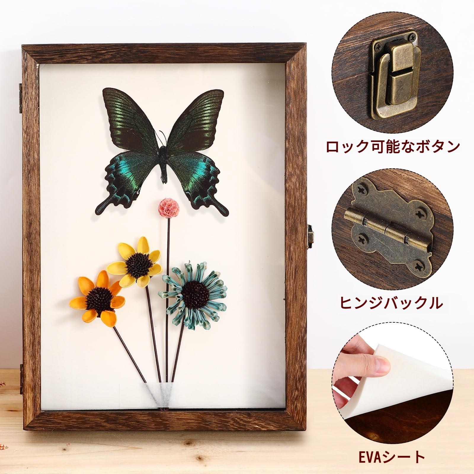 標本箱 ディスプレイボックス 透明標本 フォトフレーム 標本ケース ショーケース 楽天市場】標本ケース 標本箱 木製 ディスプレイボックス 標本