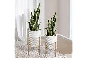 Oakrain 8" and 10" Mid Century Indoor Outdoor Planter with Stand
