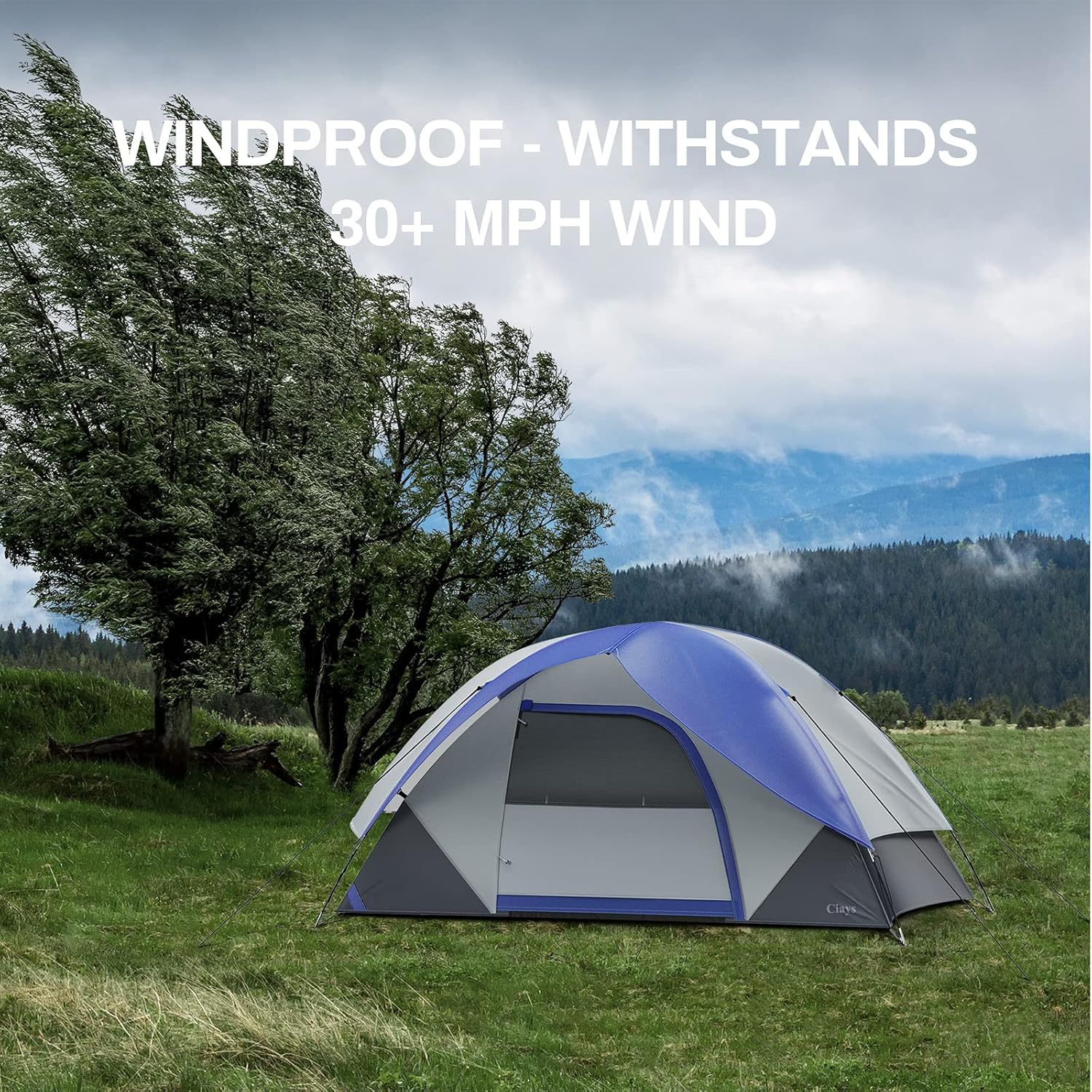 Ciays Camping Tent, Waterproof Family Tent with Removable Rainfly and Carry Bag, Lightweight Tent with Stakes for Camping, Traveling, Backpacking, Hiking, Outdoors : Everything Else