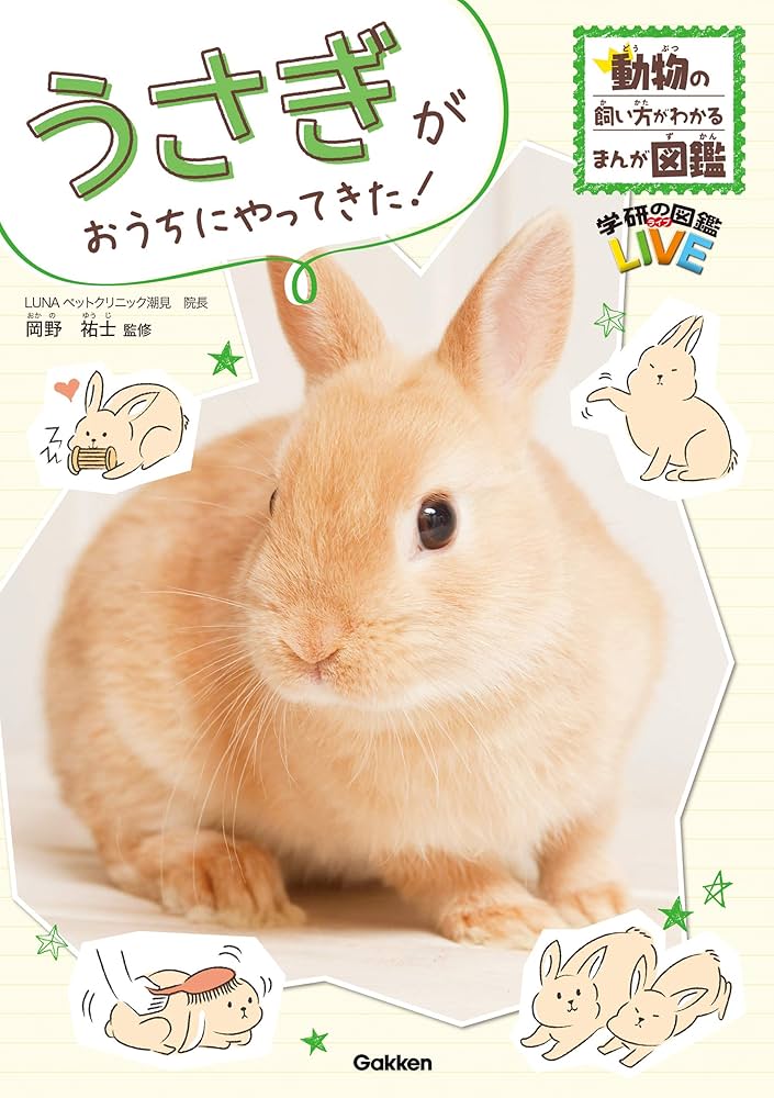 Amazon.co.jp: うさぎがおうちにやってきた！ (動物の飼い方が