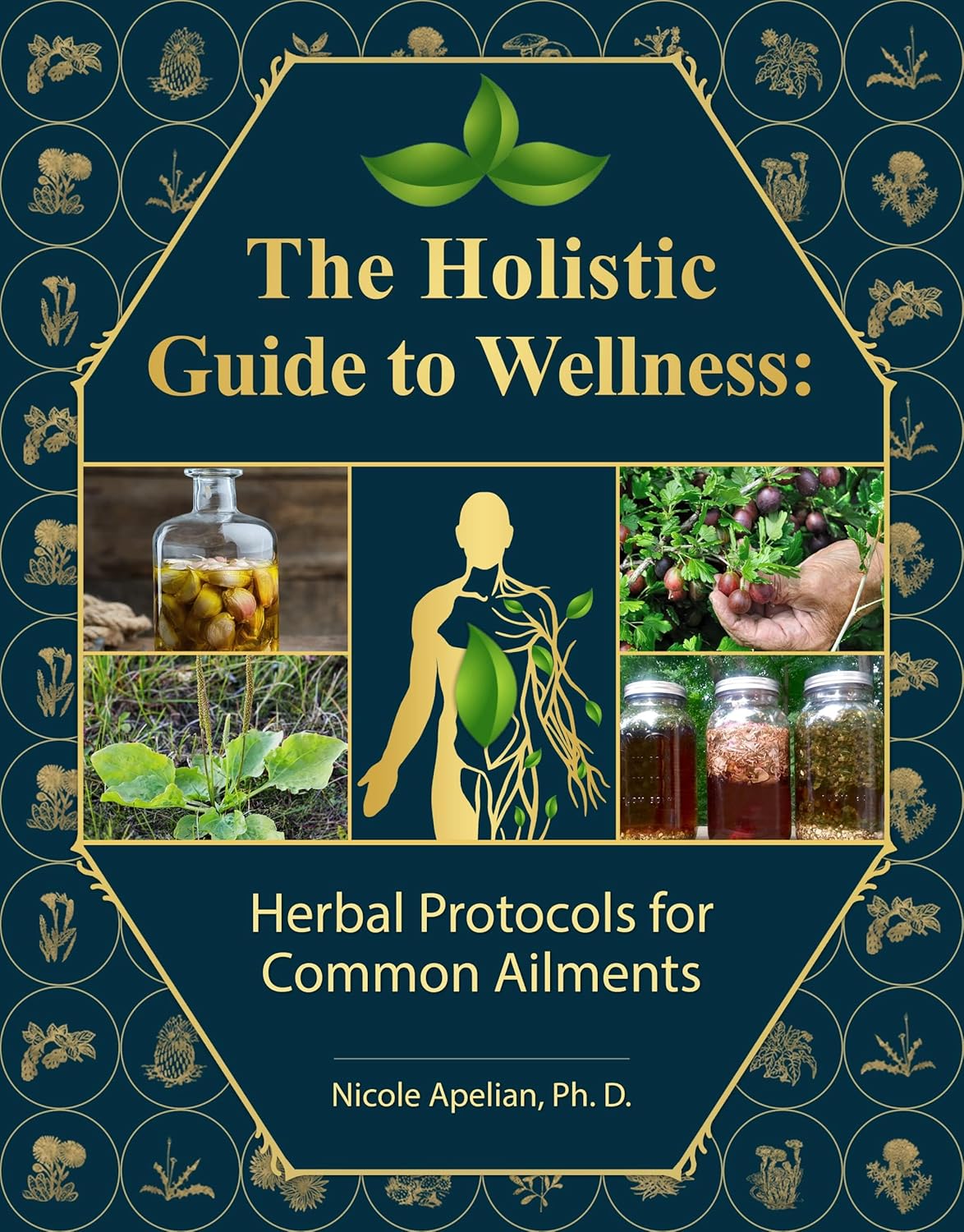 The Holistic Guide to Wellness : Herbal Protocols for Common Ailments The Holistic Guide to Wellness : Herbal Protocols for Common Ailments
